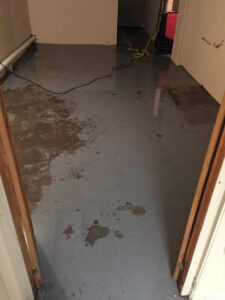 water damage-florence-flooded basement