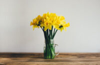 Yellow Flowers in a Mason Jar